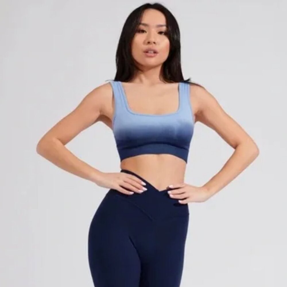 BuffBunny Synergy Seamless Sports Bra Ombre Blue Size Small EUC RARE!!